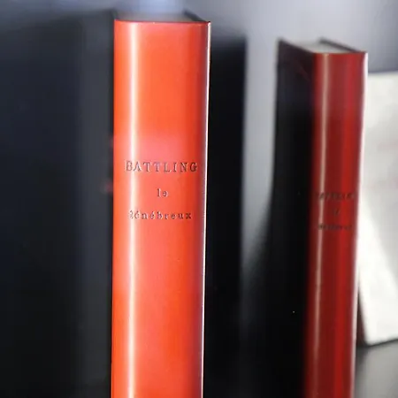Litteraire Alexandre Vialatte, Bw Signature Collection 4* Clermont-Ferrand